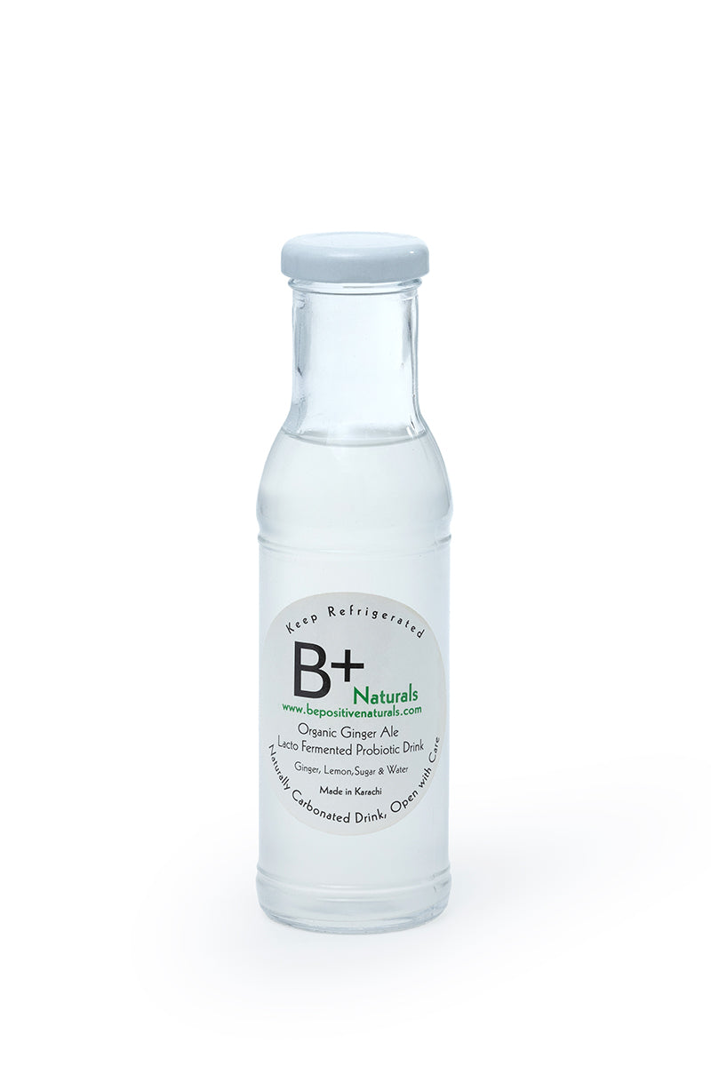 Ginger Ale - Lacto Fermented