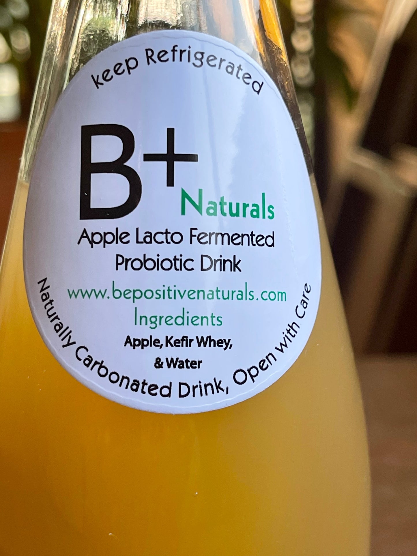 Artisanal Soda - Lacto Fermented Apple and Ginger
