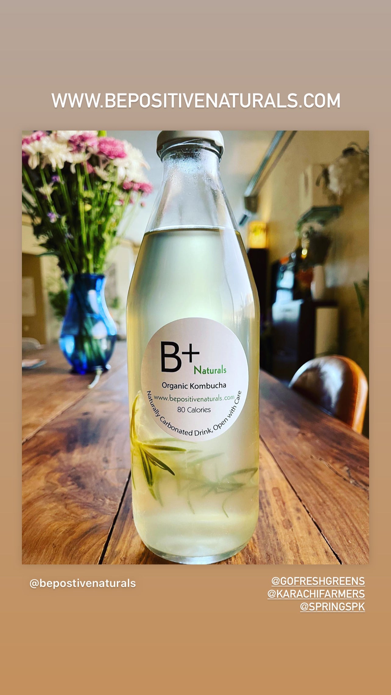 Rosemary Infused Green Tea Kombucha