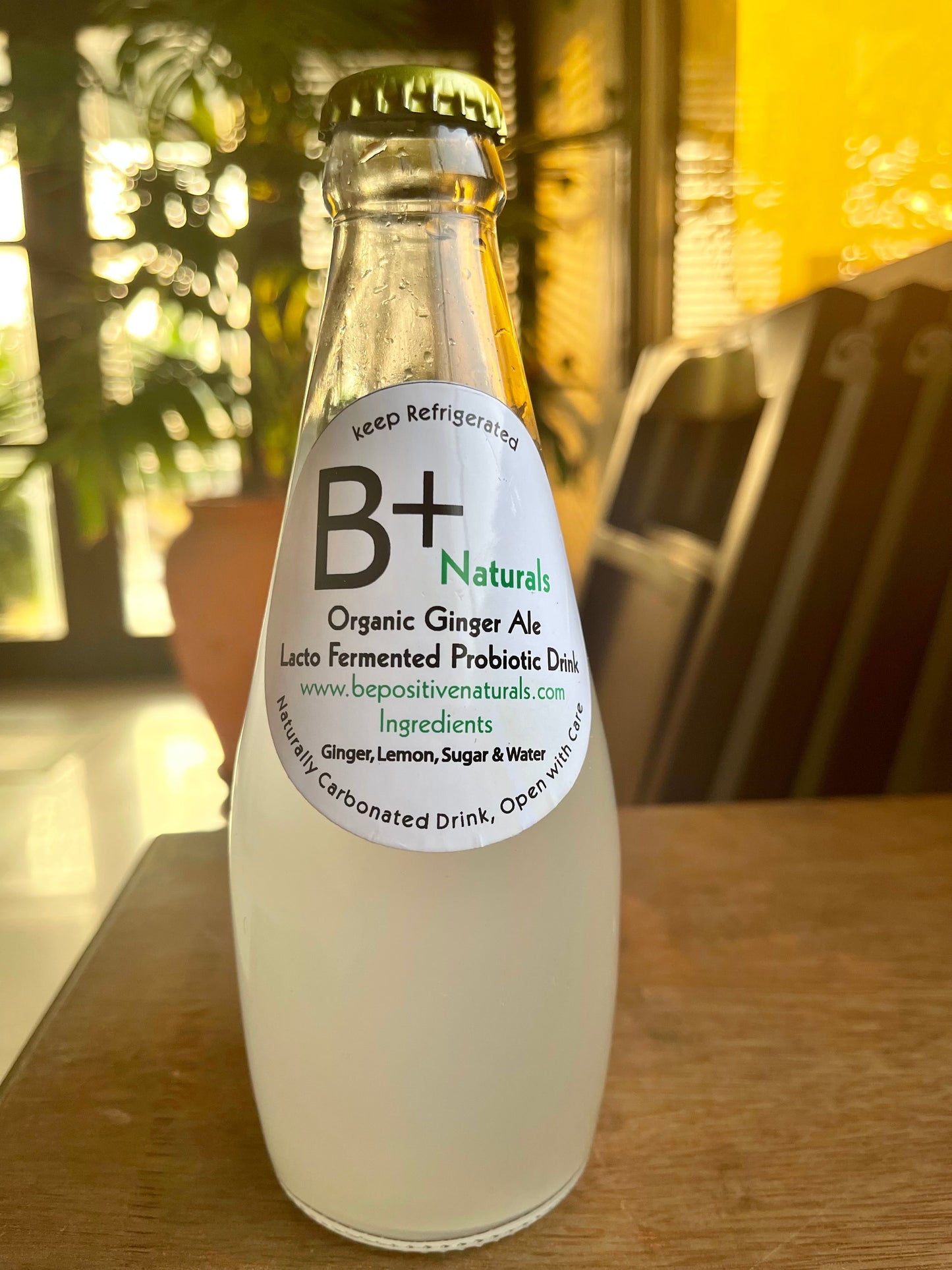 Ginger Ale - Lacto Fermented