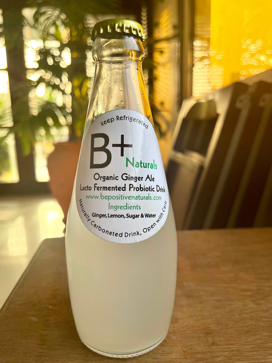 Ginger Ale - Lacto Fermented