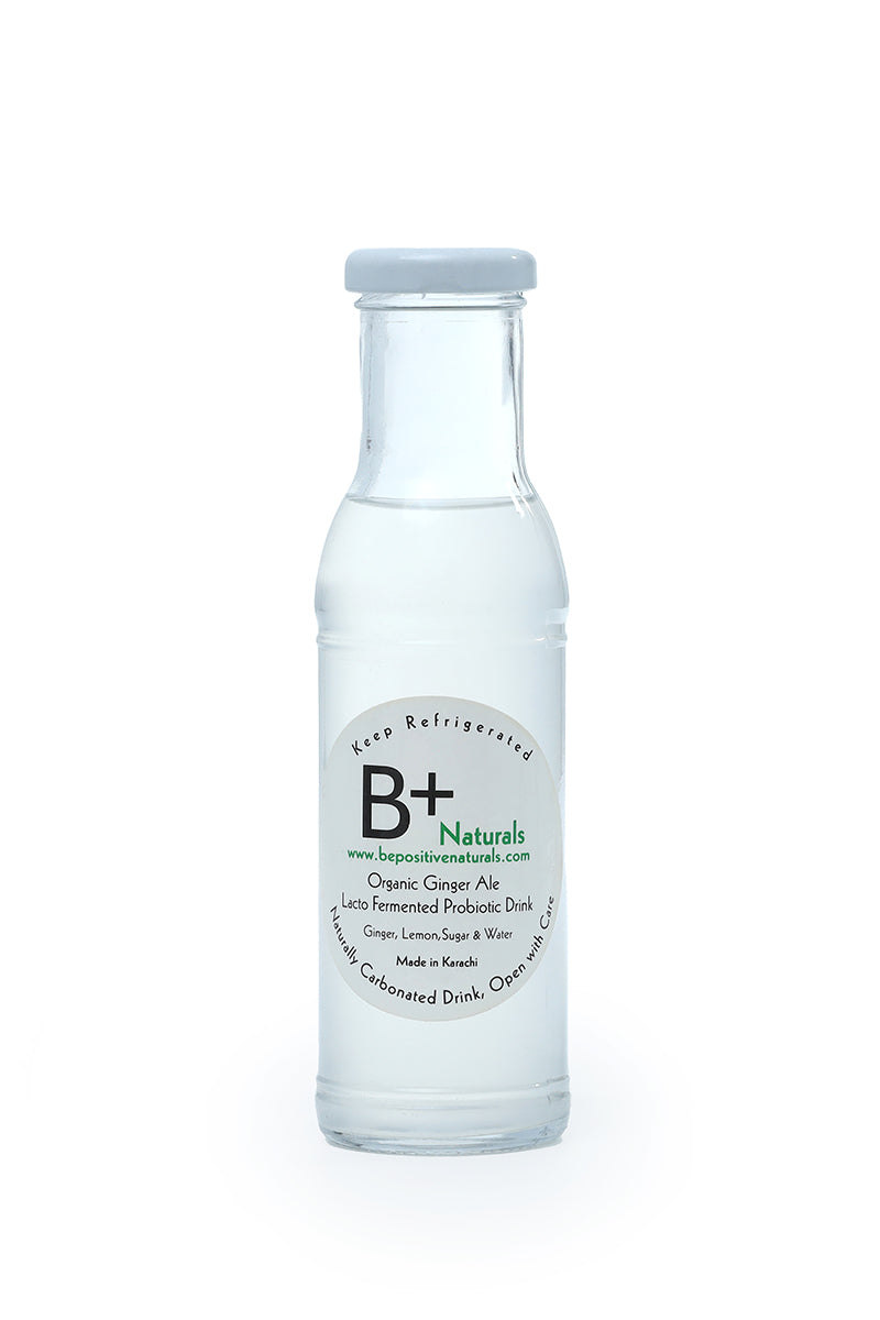 Ginger Ale - Lacto Fermented