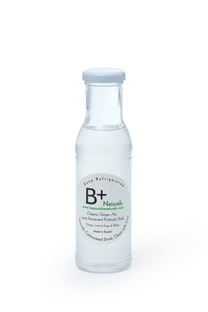 Ginger Ale - Lacto Fermented