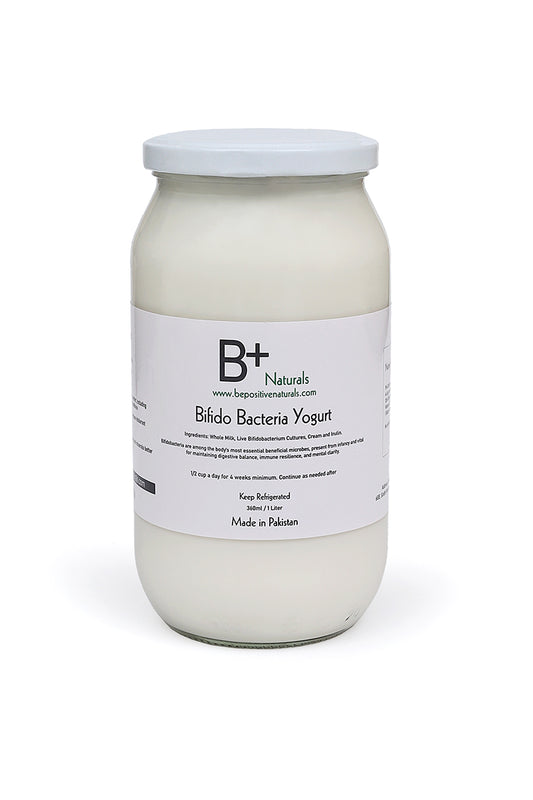 Bifido Bacteria Yogurt