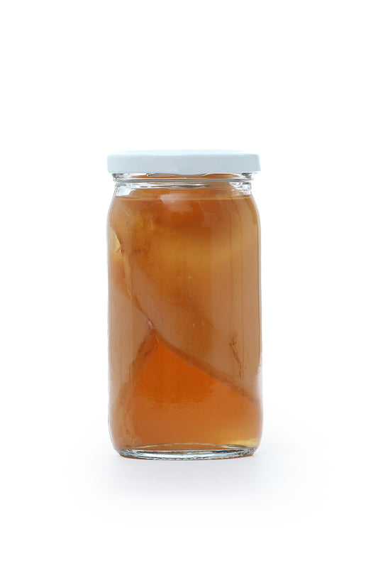 Kombucha Scoby