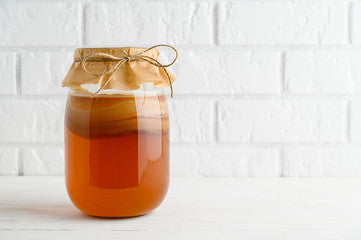 Kombucha Scoby