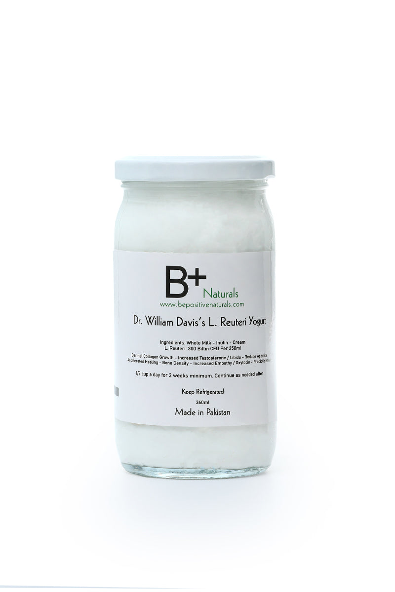 L. Reuteri Yogurt