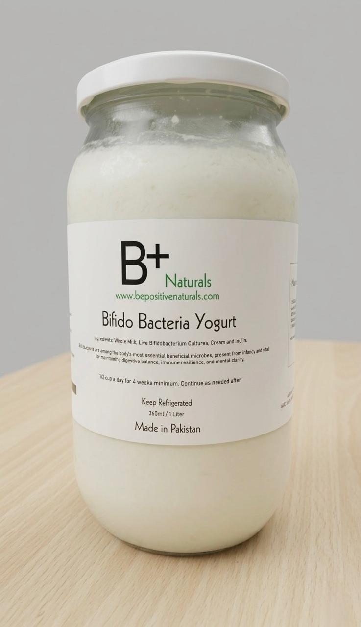 Bifido Bacteria Yogurt