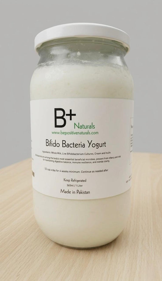 Bifido Bacteria Yogurt