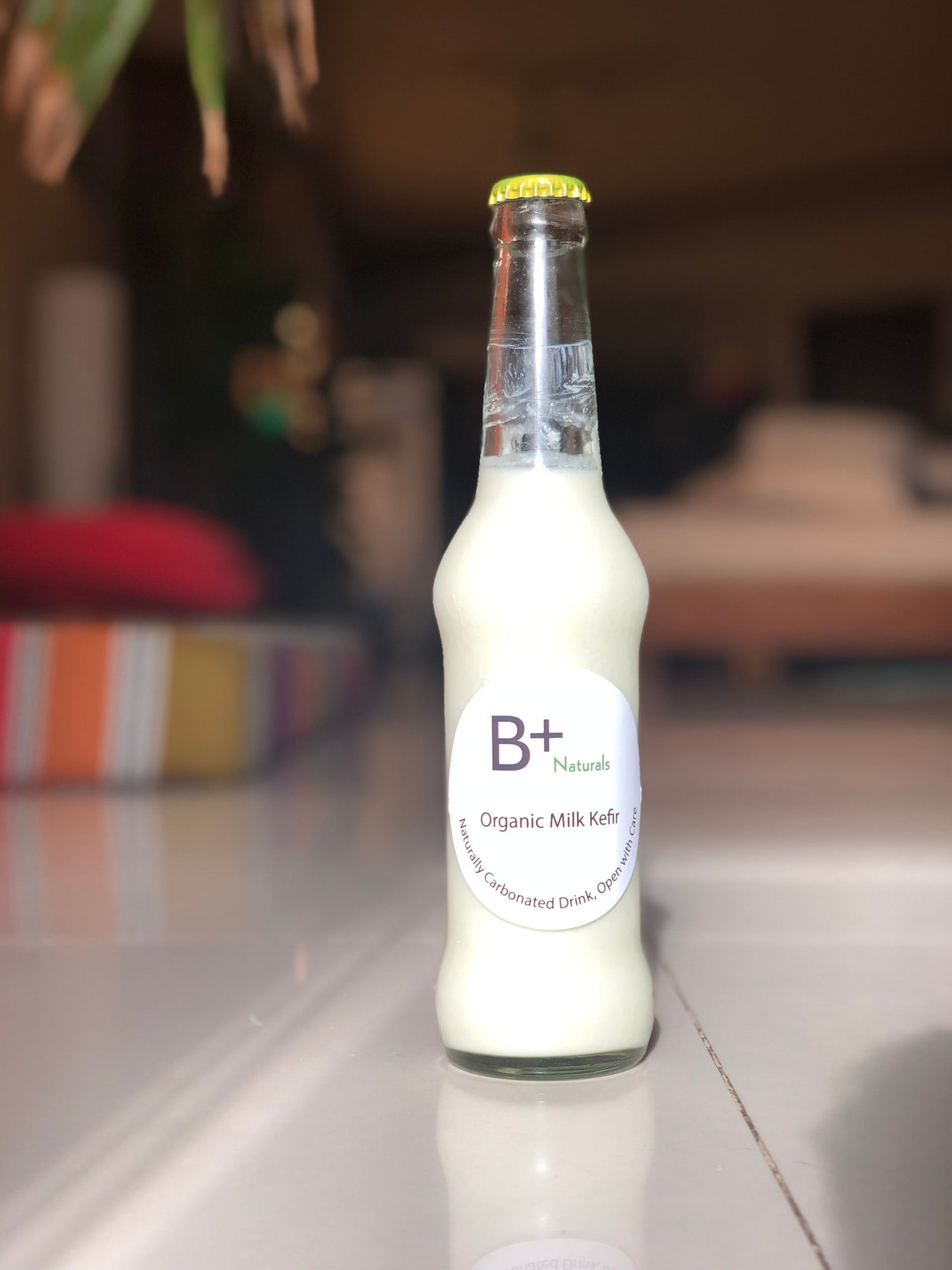 Kefir Milk Lactose Free B+ Naturals